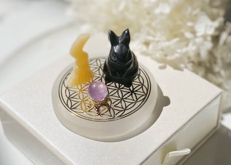 ハニーカルサイト／魔法のほうき