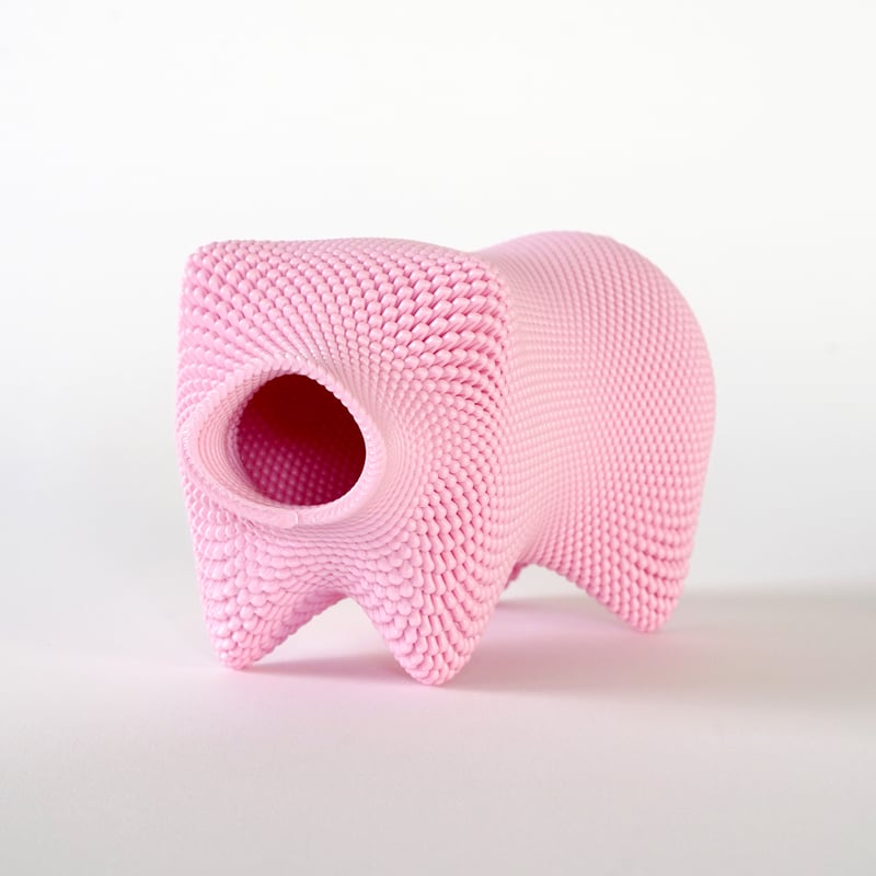 pig / 新工芸舎 | Y/Y