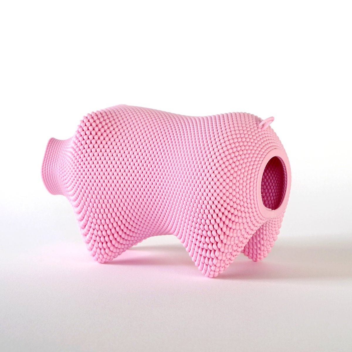 pig / 新工芸舎 | Y/Y