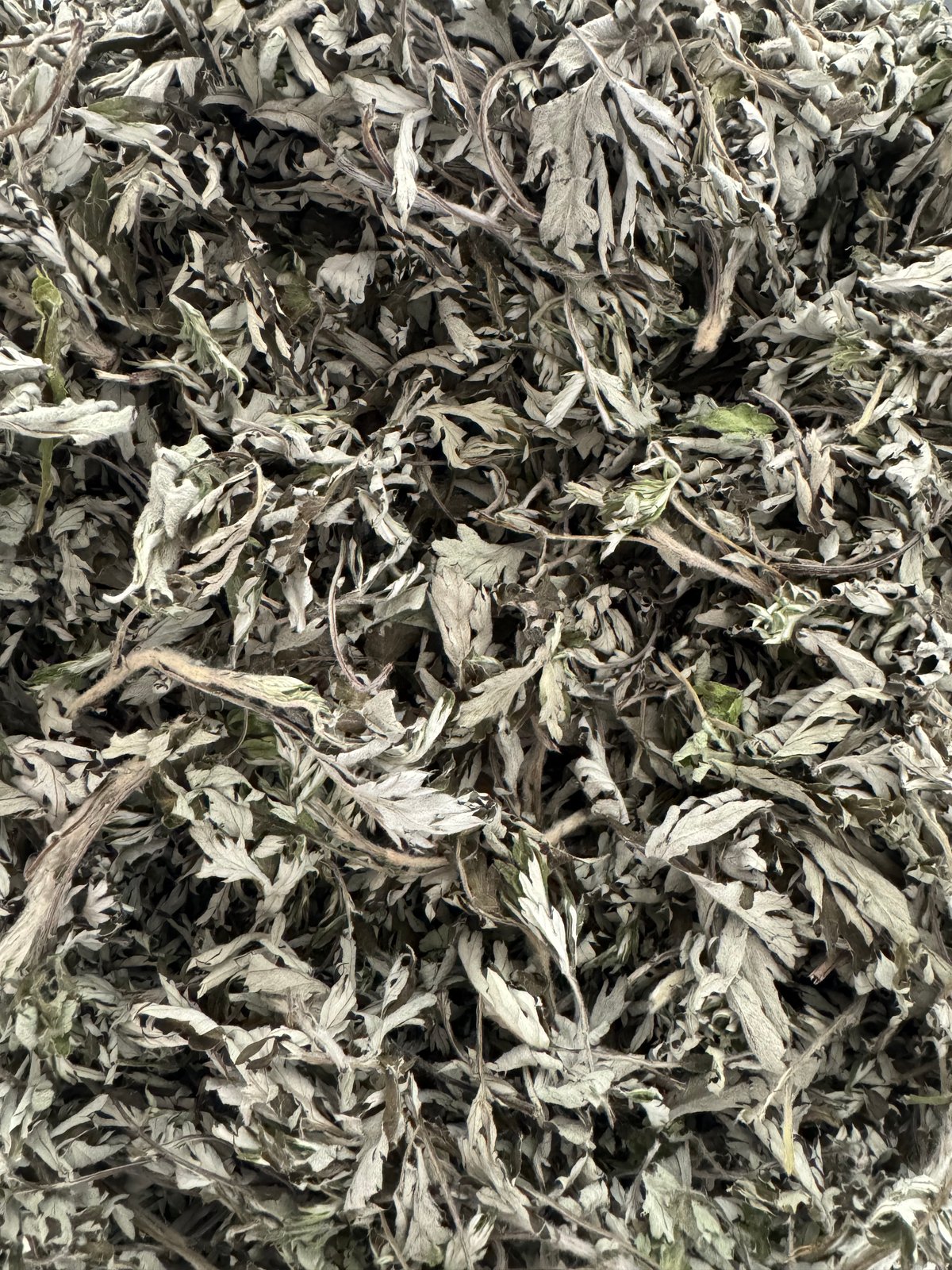 2025年7〜9月収穫✳︎滋賀県比良産よもぎ茶30gお得用 | trinity-spa33