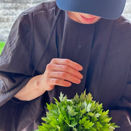 🌕2026.5満月よもぎの季節限定🌿フレッシュよもぎオイル☆spiritual ascension fresh oil✴︎60ml