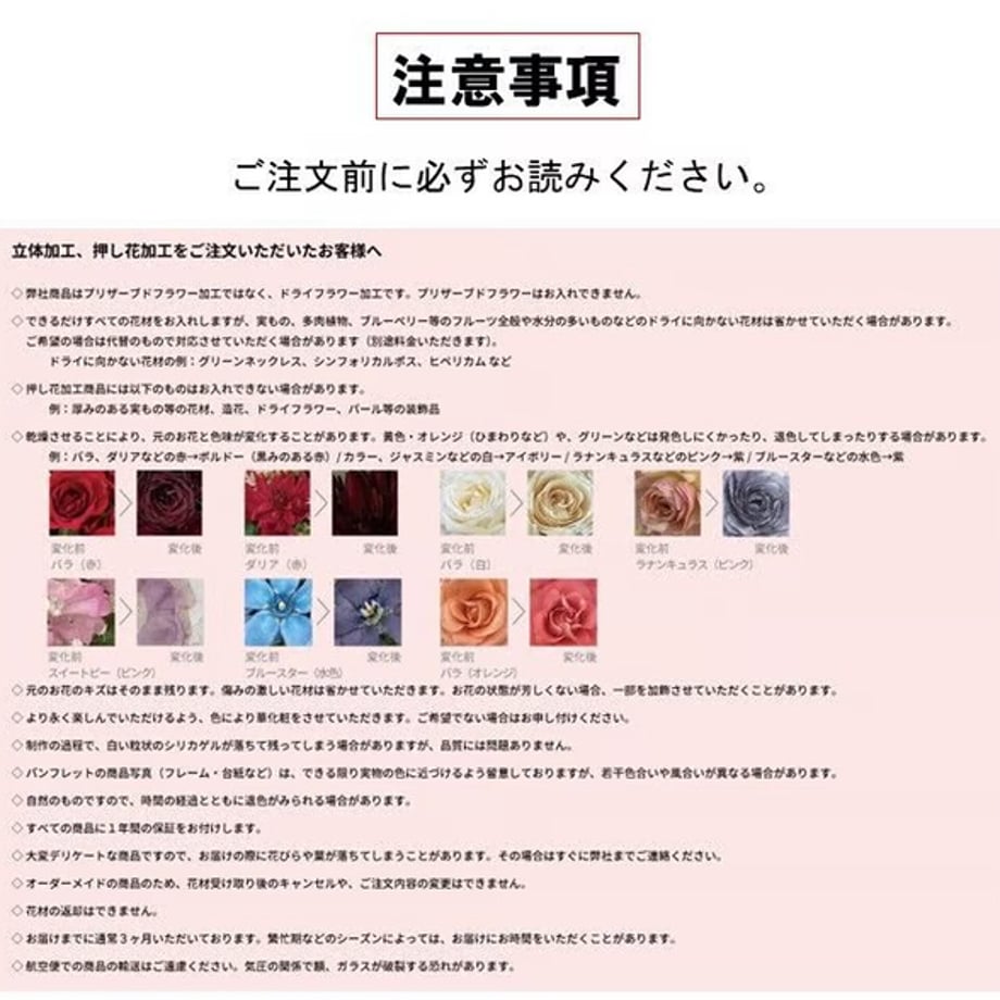 66ce980c26a38203f4f5cafc