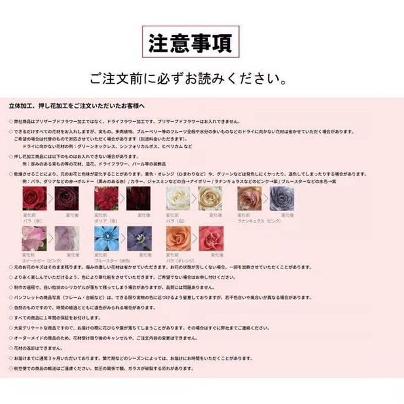 【CHERRY様オーダーページ】 Cherry＊様オーダーページ③ 【公式通販】