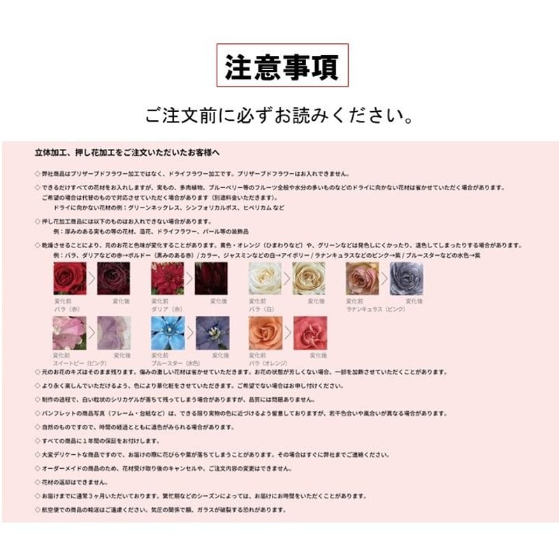 フレア B | クロリス 