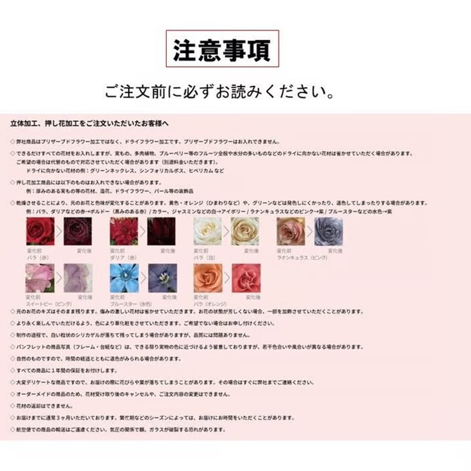 66ce8e242ca89e02c2251908