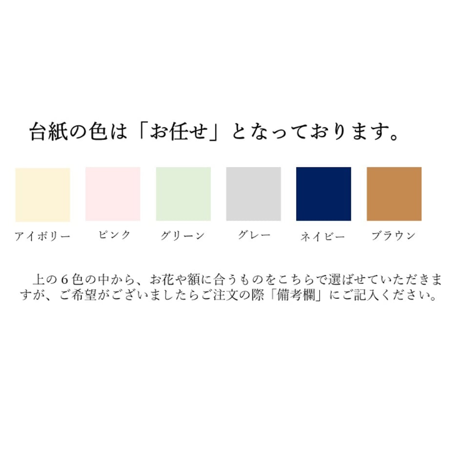 66ce8e242ca89e02c2251908