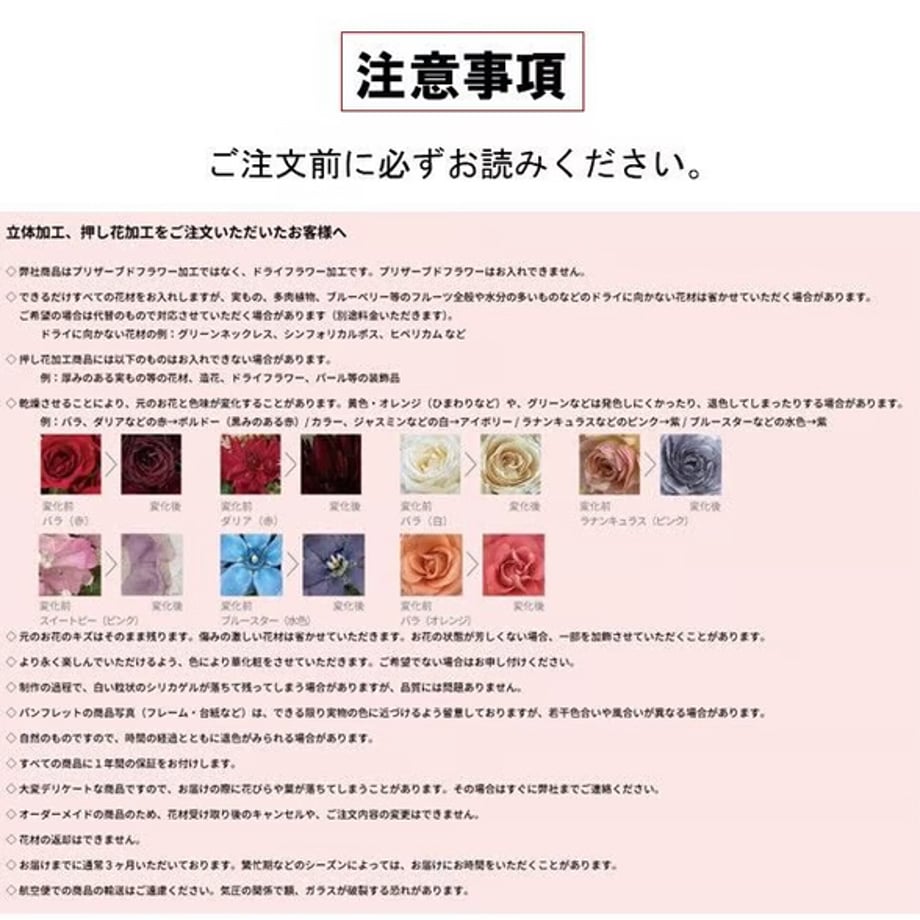 66ce98bf816e61041ca6caee