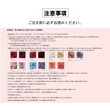 アンサンブル B