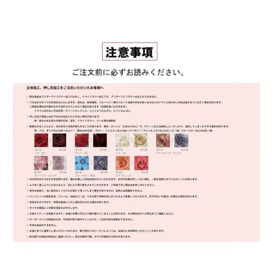 654c9781ff6e7200312b9c53