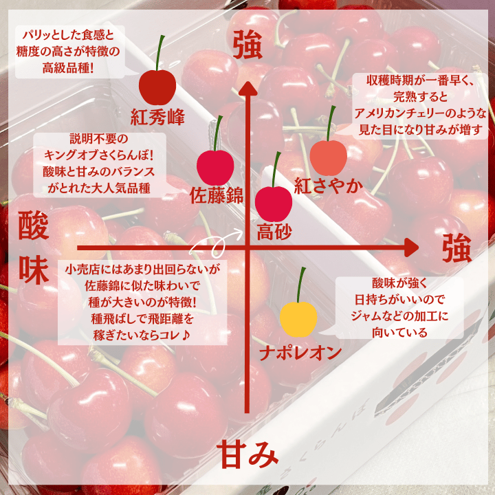 山形県産さくらんぼ【佐藤錦】 ～6月より順次発送～ | フルーツ