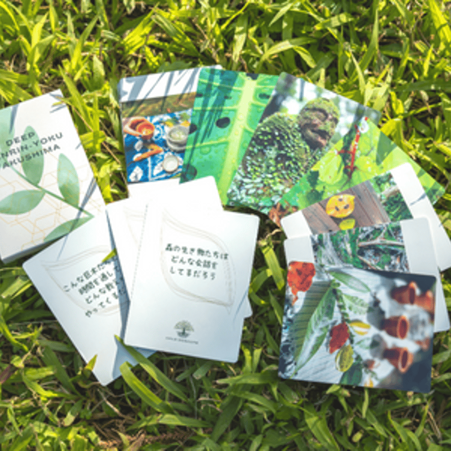 63a982a93463e74980b0b5e7