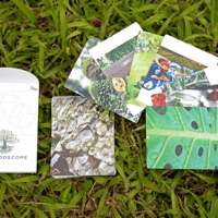 【English版】deep Shinrinyoku/Forest therapy card