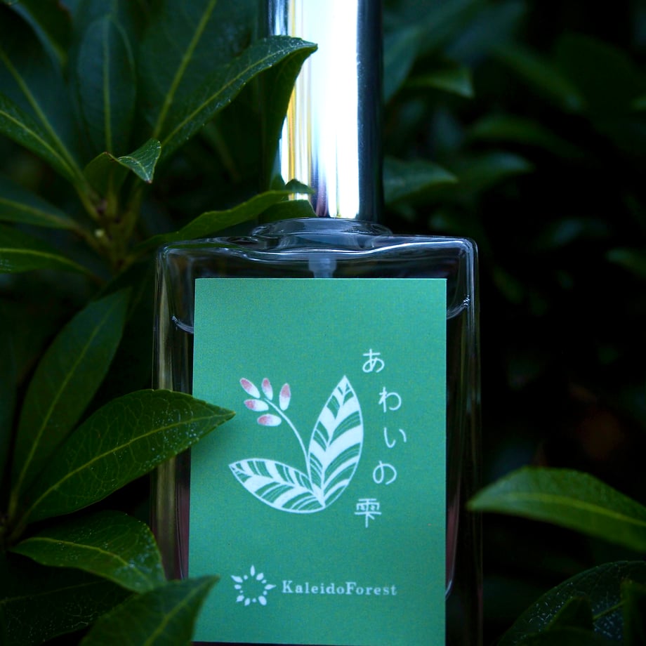 676221d26e3db521a15ecfec