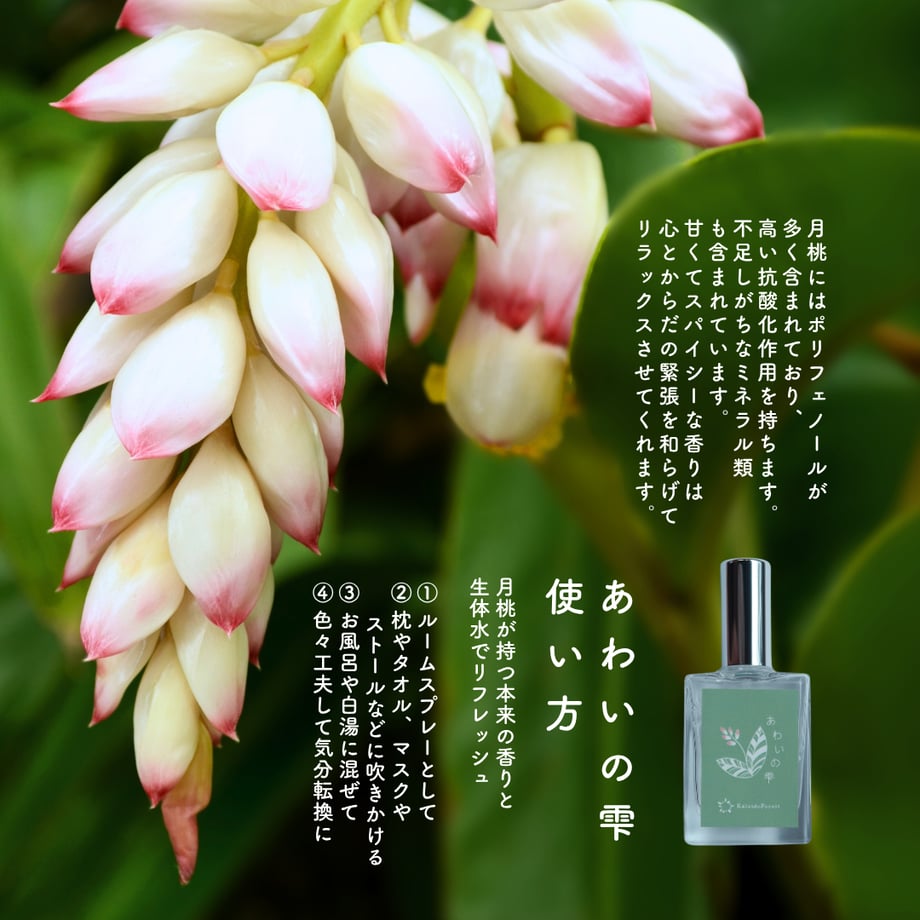 676221d26e3db521a15ecfec