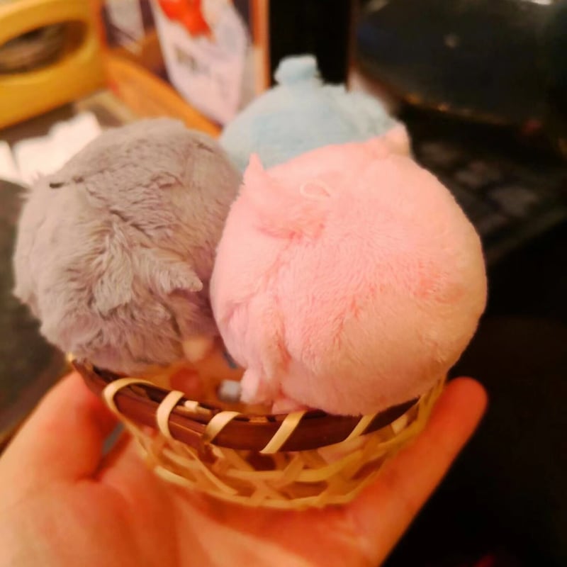 着せ替えぬいぐるみ 椎名ニキ あんさんぶるスターズ! 5センチ 