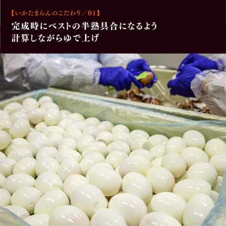 いかたまらん【1個入】【冷蔵便】