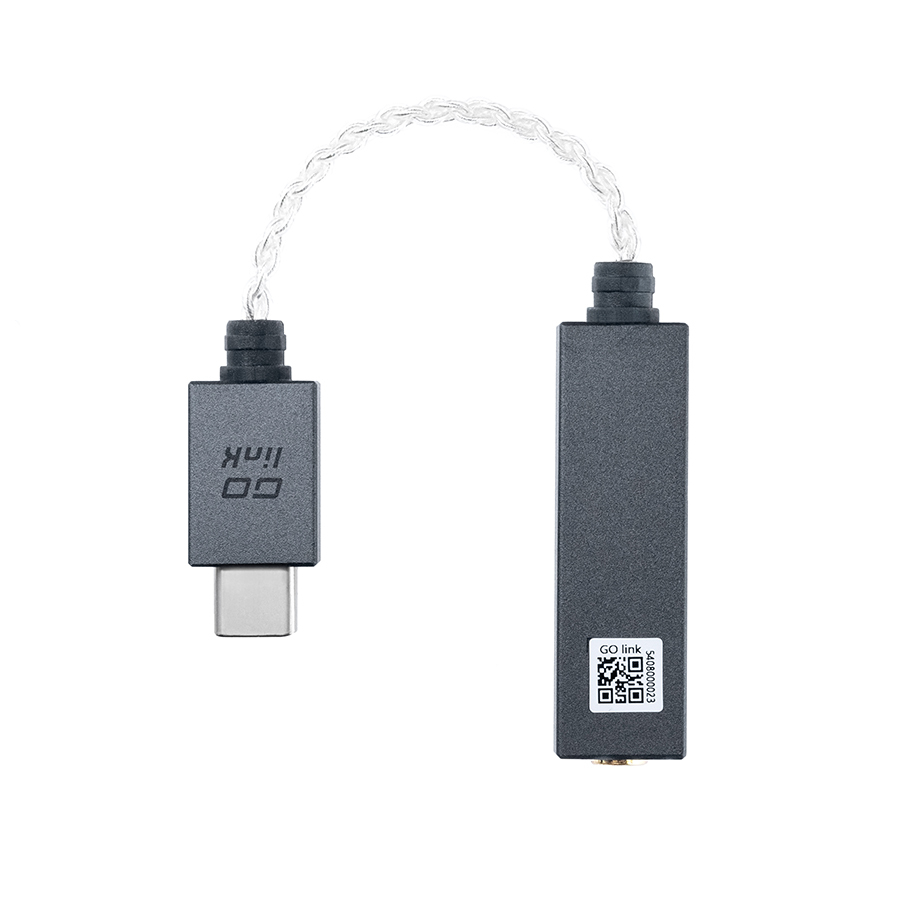 iFi audio GO link エントリースティック型USB-DAC | Bi-Wings