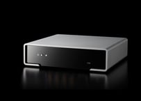 PAW GT2 ケース PAW GT2 ケース Lotoo PAW GT2 Large Ink Chrysanthemum Second