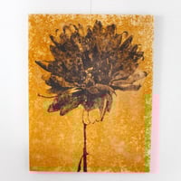 花井祐介 Throwing Stones | 現代アートギャラリー ARToRIDe アートライド