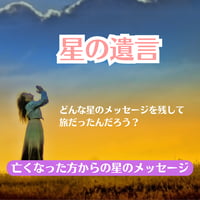 星の遺言～亡くなった方からのメッセージ（個人コンサル）