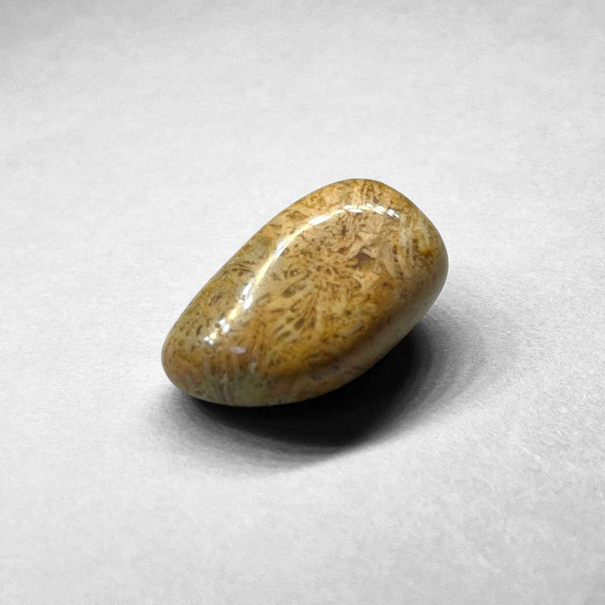 picture jasper tumble / ピクチャージャスパータンブル 1 | N.st