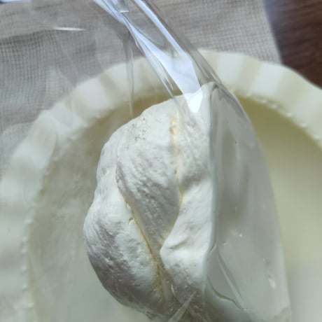奇奇怪怪 リボントースト  スクイーズ