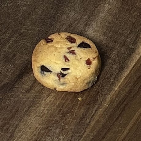 クランベリー・チョコクッキー（３個入り）