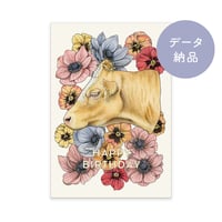 【デジタルデータ】3月生まれバースデーイラスト　はがきサイズ