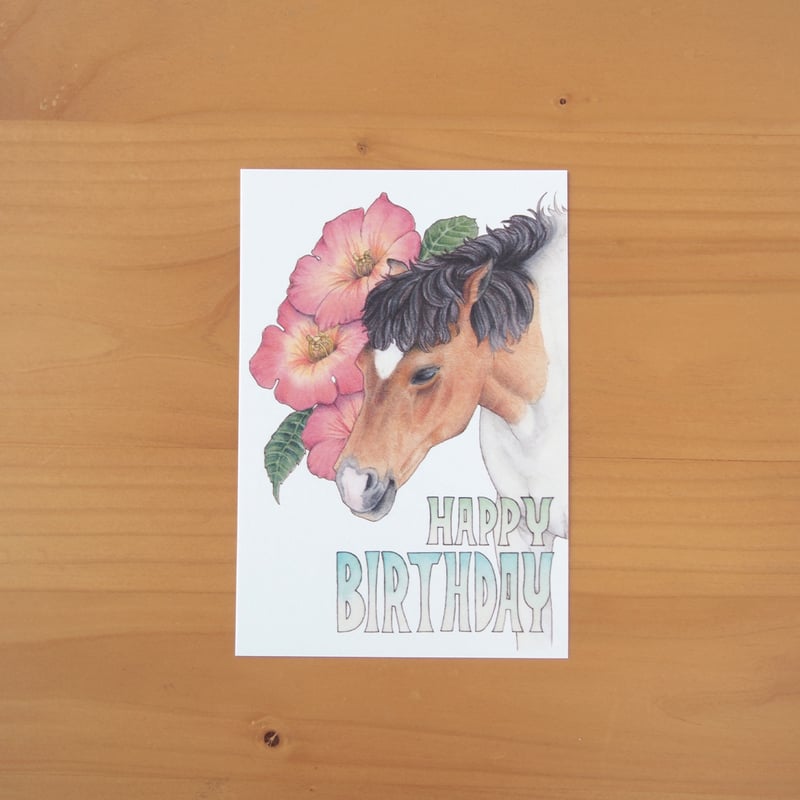 バースデーカード 7月生まれ 4枚セット | ms. colorfreak