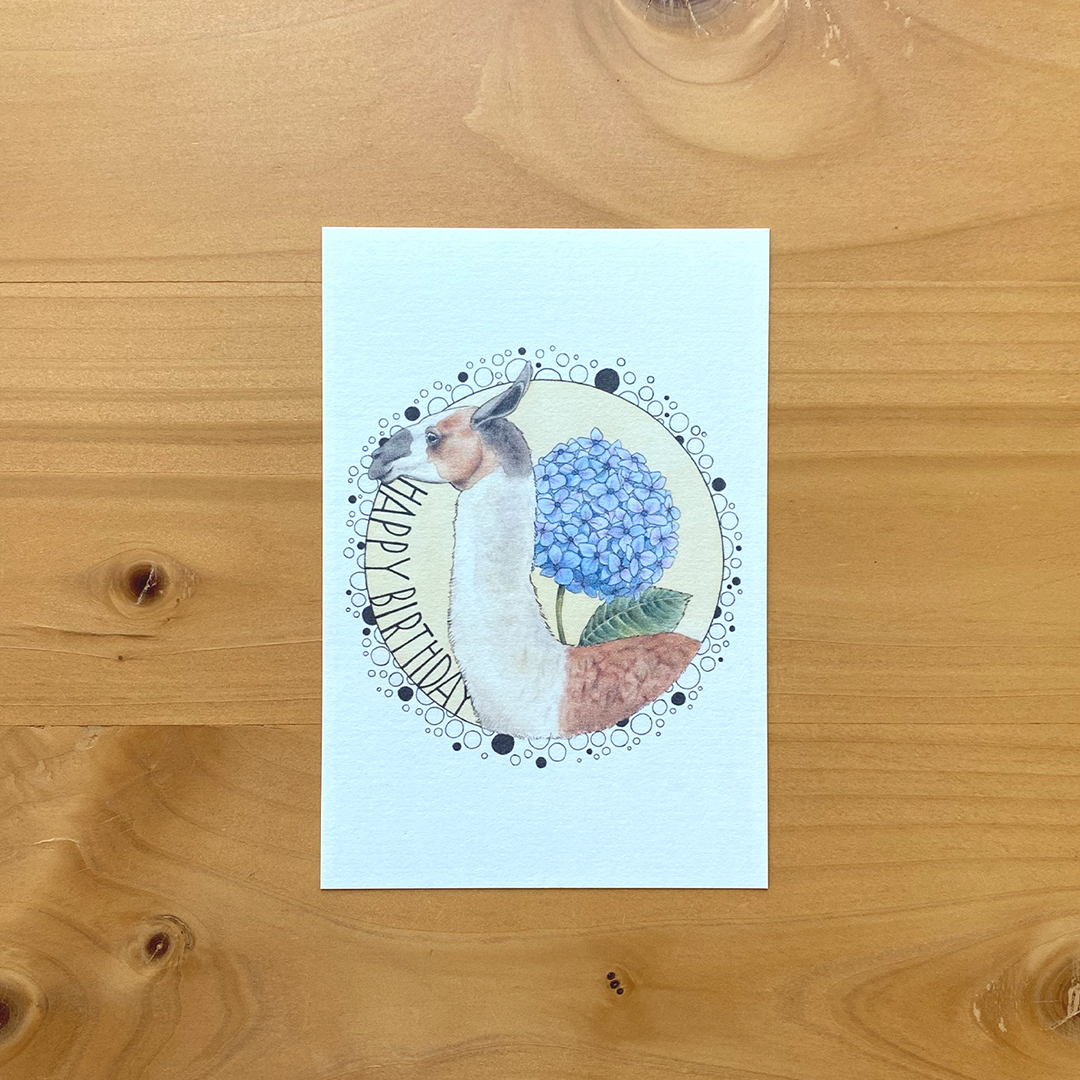 バースデーカードセット バースデーカード 6月生まれ 4枚セット | ms. colorfreak