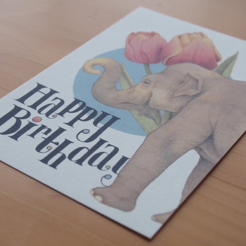 バースデーカードセット 楽天市場】バースデーカード 二つ折り窓付きカード 風船 2446304