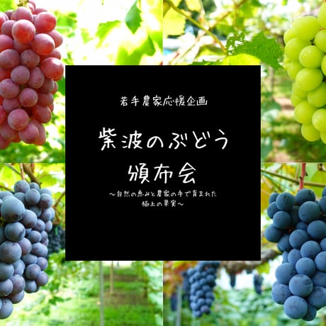 藤稔 | STORES