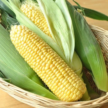 【季節限定】素材そのまま！濃厚とうもろこしのポタージュ 5食入