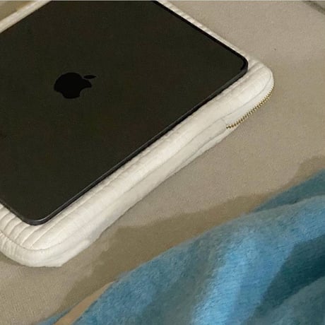 「206」ipadケース 韓国 ipad pro ケース 11インチ/12.9 インチ おしゃれ ipad 収納 ポーチ