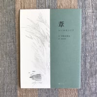 葦