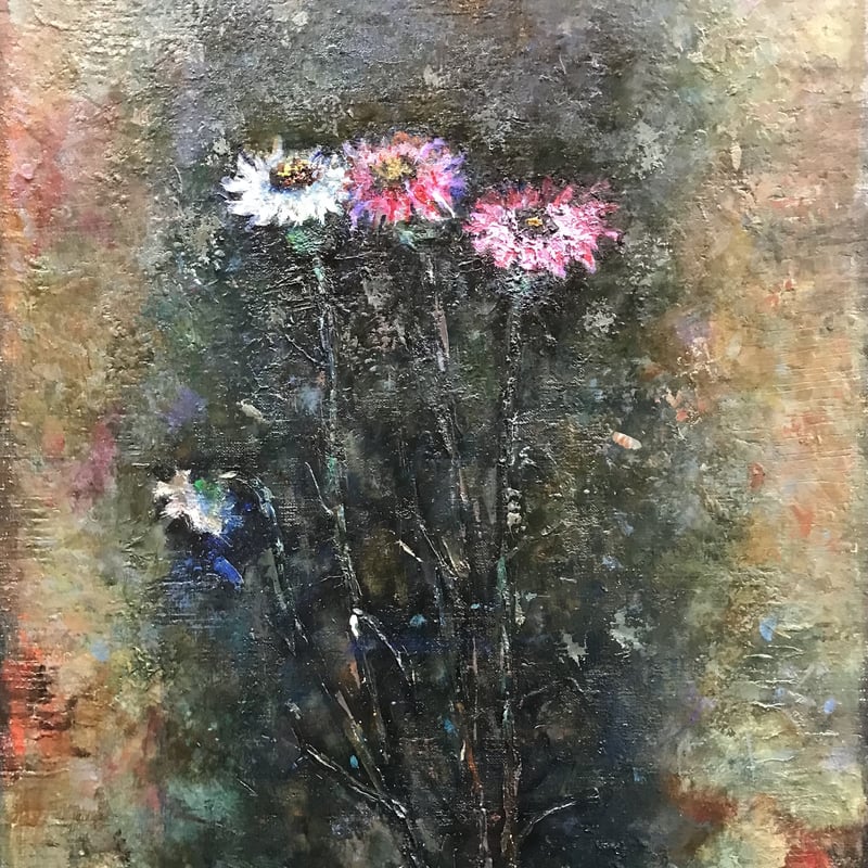 百日草 | gallery聖夜