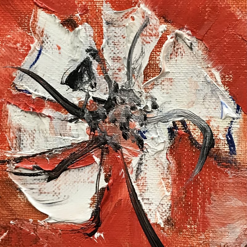 月下美人 | gallery聖夜