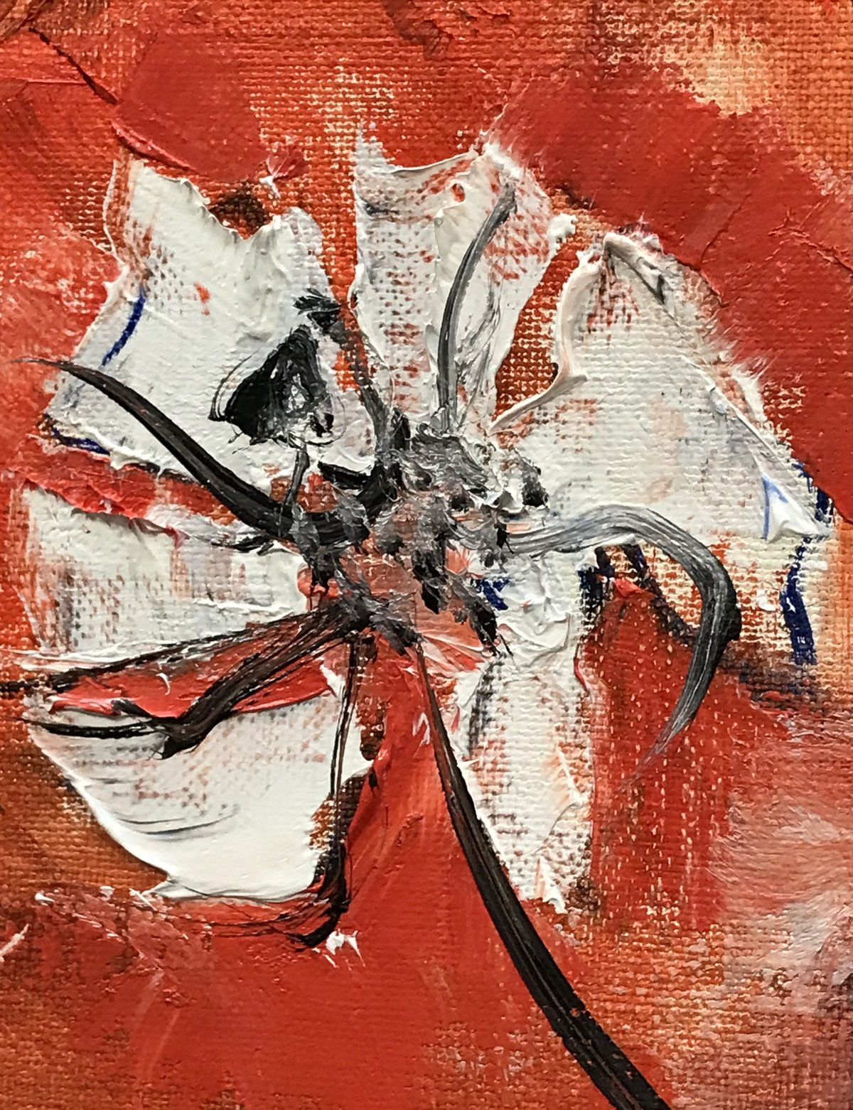 月下美人 | gallery聖夜