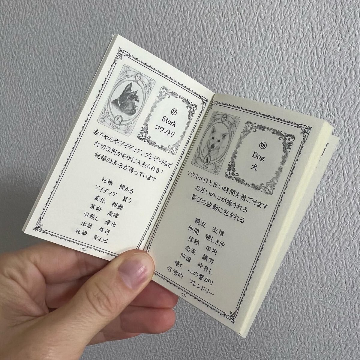 ザ・ドッグルノルマンカード | Himiko Rose