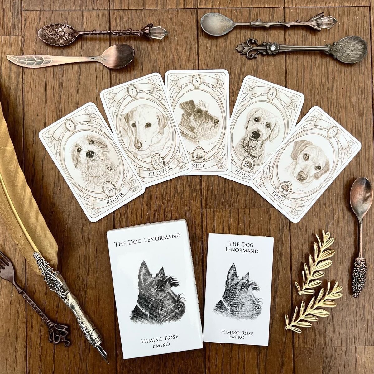ザ・ドッグルノルマンカード | Himiko Rose