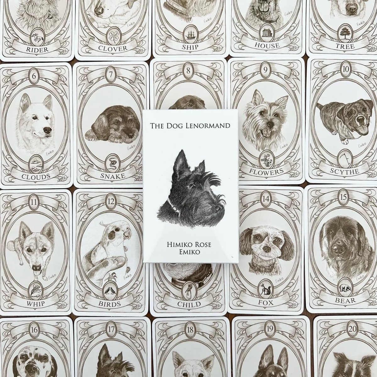 ザ・ドッグルノルマンカード | Himiko Rose