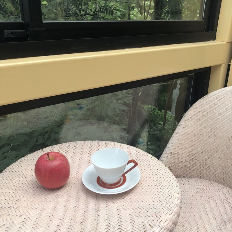 ノリタケ NIPPON TOKI KAISHA ｜赤いラインのカップ＆ソーサー | 丘の