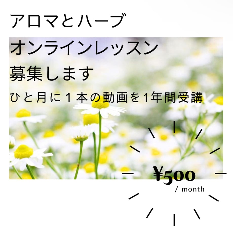 663589a0044f891cc64f1704