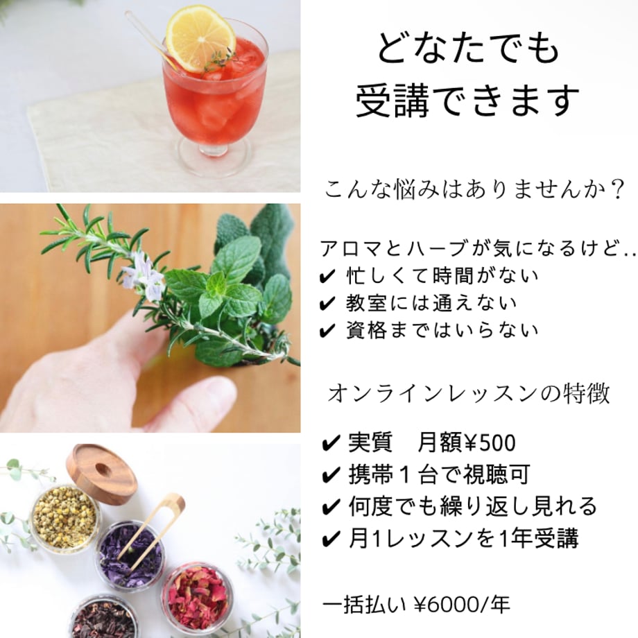 663589a0044f891cc64f1704