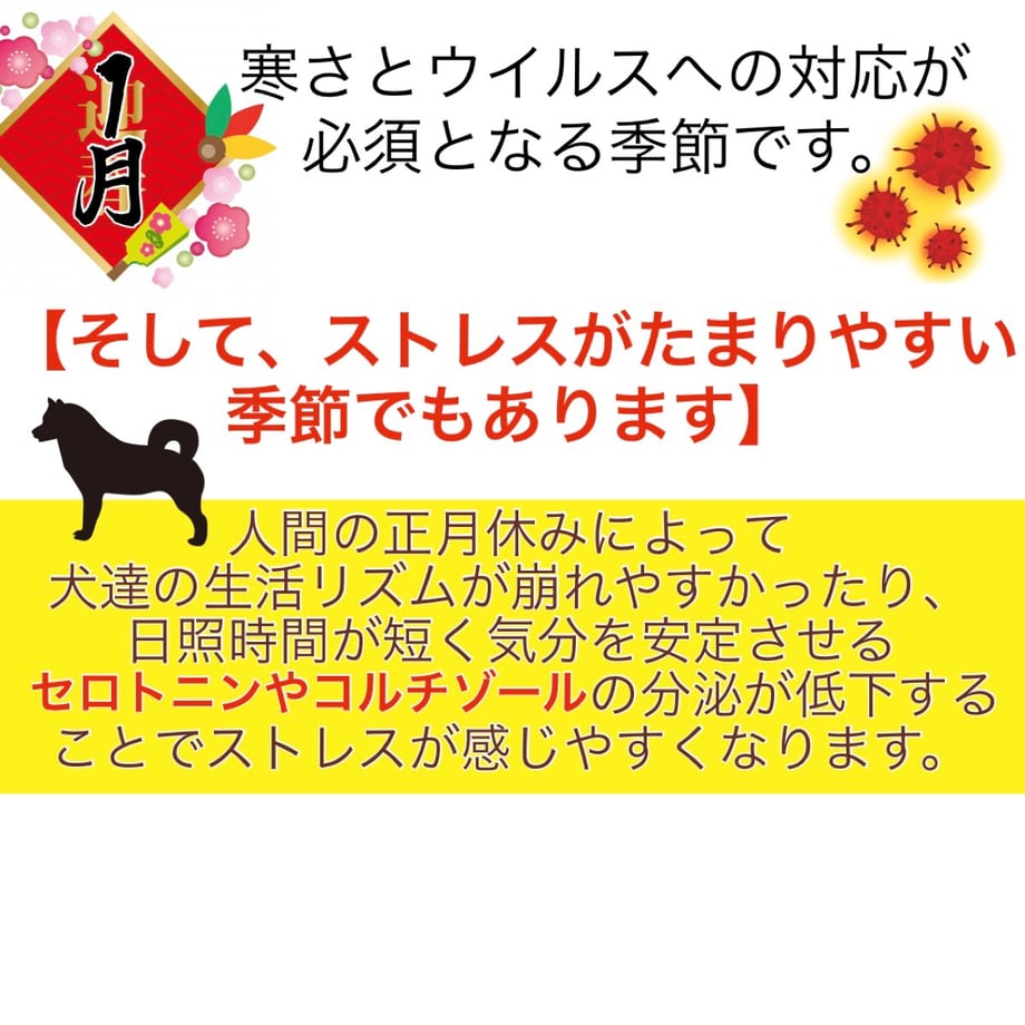6593eee85d2d4e0d8b64c36b