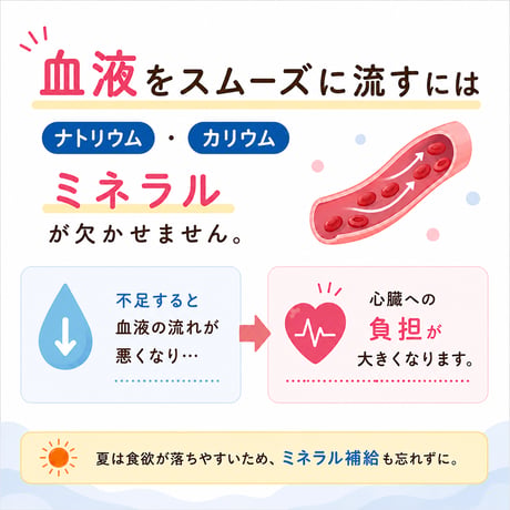 初めての手作りご飯〜7月旬〜