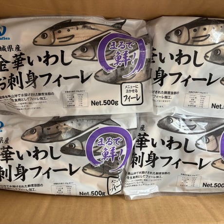 🐟 金華イワシフィーレ