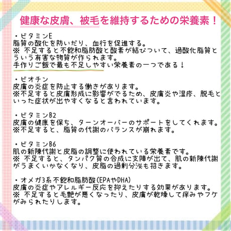初めての手作りご飯~6月旬~※送料は全て冷凍商品着払い