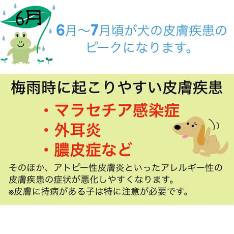 初めての手作りご飯~6月旬~※送料は全て冷凍商品着払い