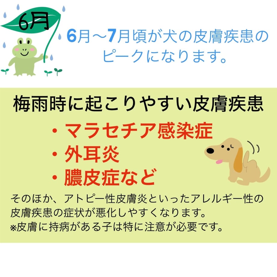 665c2beefa2afe45bf4d4038